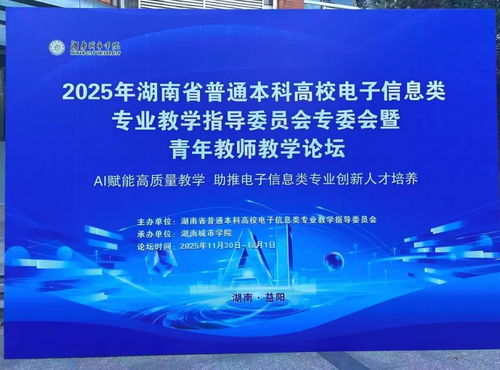 聚智同行，共促成長 小眼睛科技受邀亮相2025湖南省電子信息學(xué)術(shù)年會(huì)